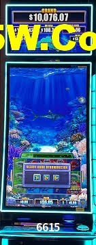 Experiência VIP 6615